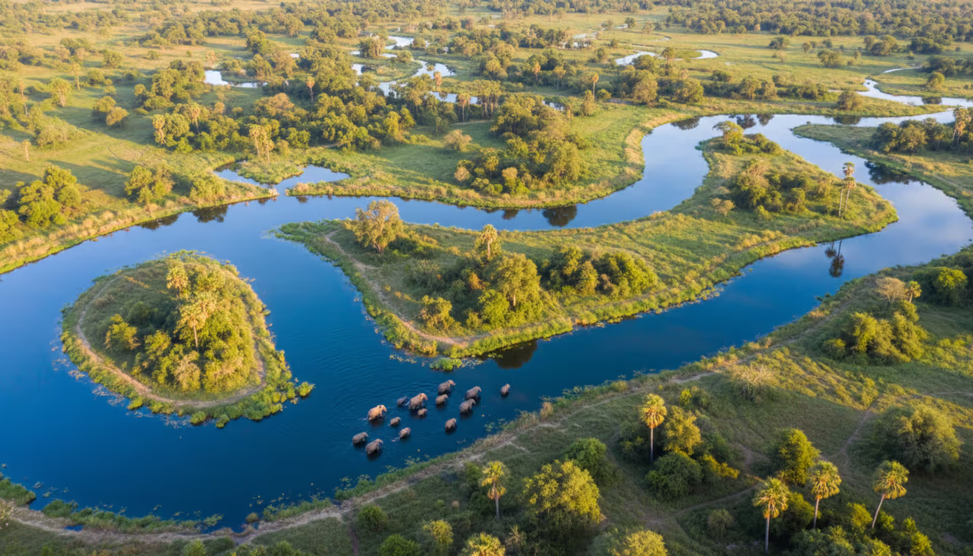 Aerial view of the Okavango Delta in Botswana showing winding water channels, green islands, and elephants crossing shallow water at sunrise